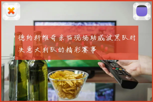 德约科维奇亲临现场助威波黑队对决意大利队的精彩赛事