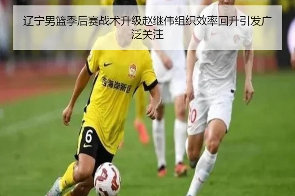 辽宁男篮季后赛战术升级赵继伟组织效率回升引发广泛关注（kaiyun..comapp）
