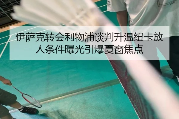 伊萨克转会利物浦谈判升温纽卡放人条件曝光引爆夏窗焦点 - kaiyun..comapp